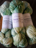 Lichen